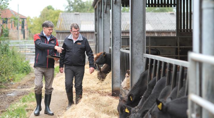 Mark And Paul 10 141 1 (1)