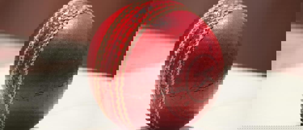 Cricket Ball