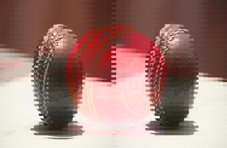 Cricket Ball
