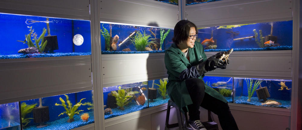 College Student Surrounded By Fish Tanks