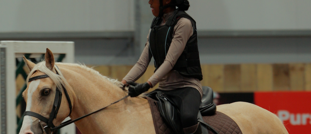 Palamino Pony And Rider