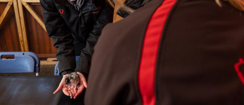 Hartpury Animal Students With Hamster