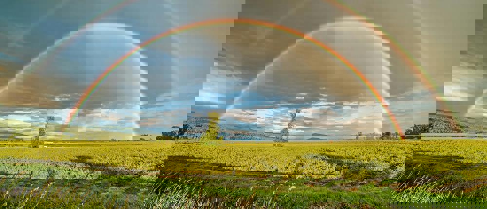 Rainbow In Sky