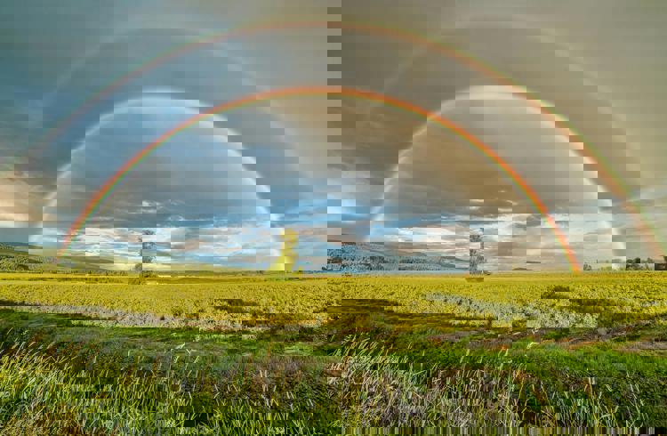 Rainbow In Sky
