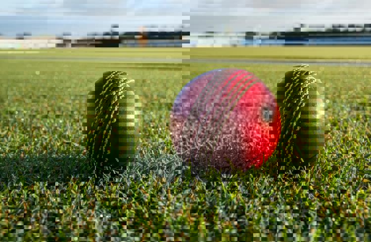 Cricket Ball On The Grass