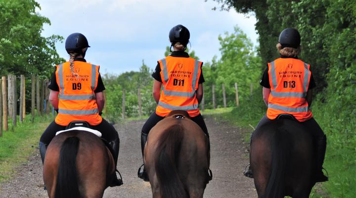 Three Horses Riding