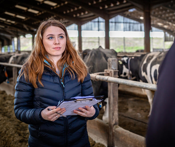 Agriculture Student Holding A Clipboard In Cow Shed