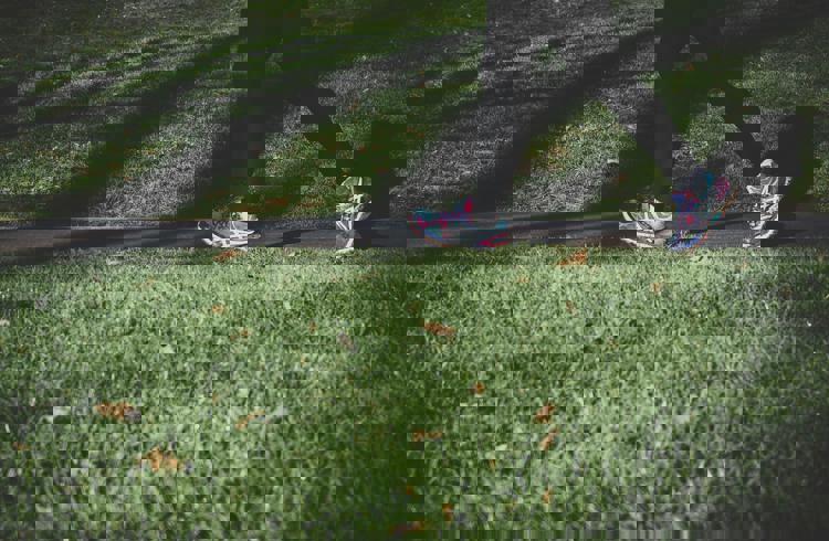 Persons Legs Wearing Trainers In Park