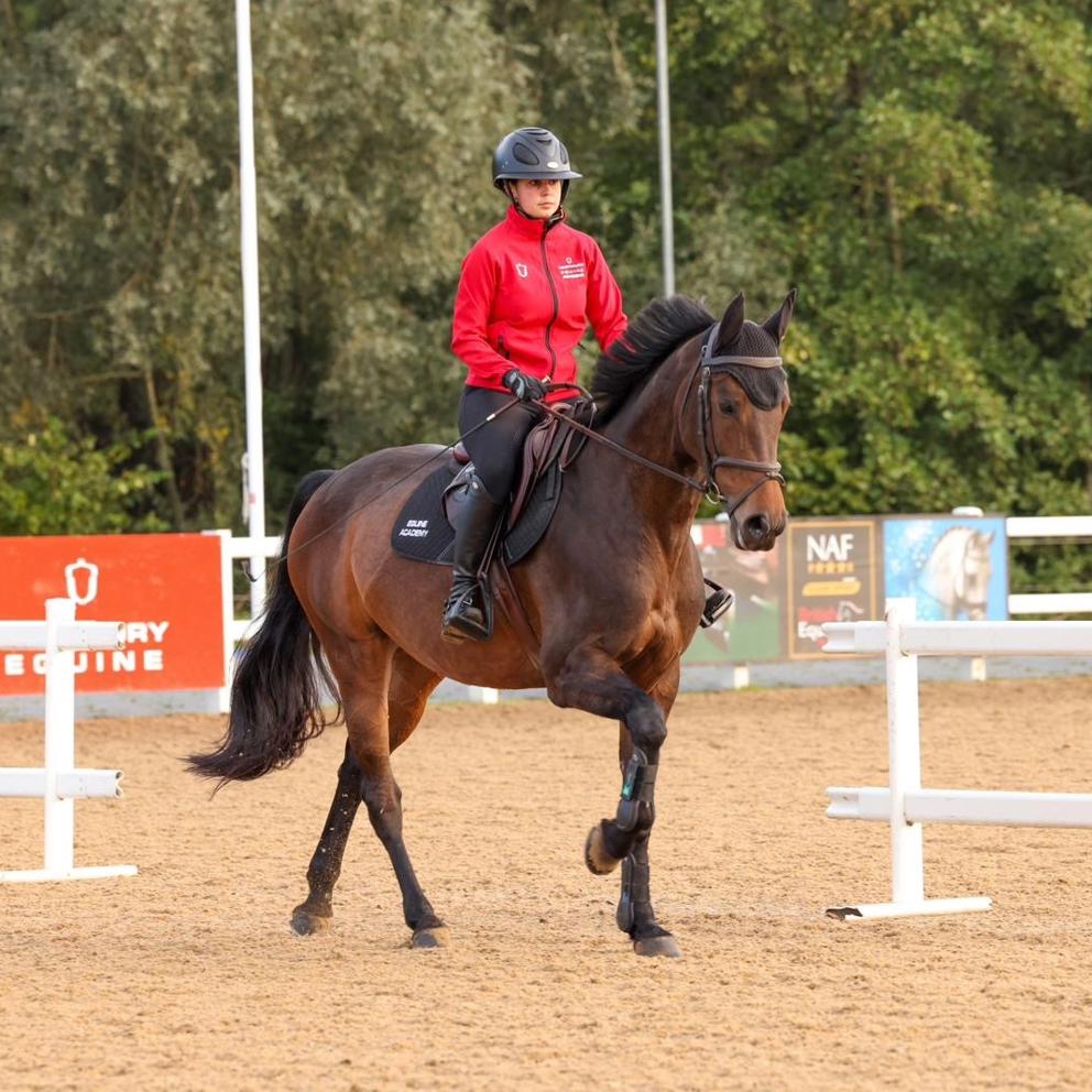 Equine Academy
