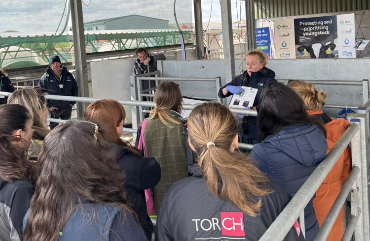 Calf Action Conf