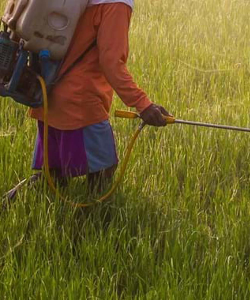 Pesticide Spraying