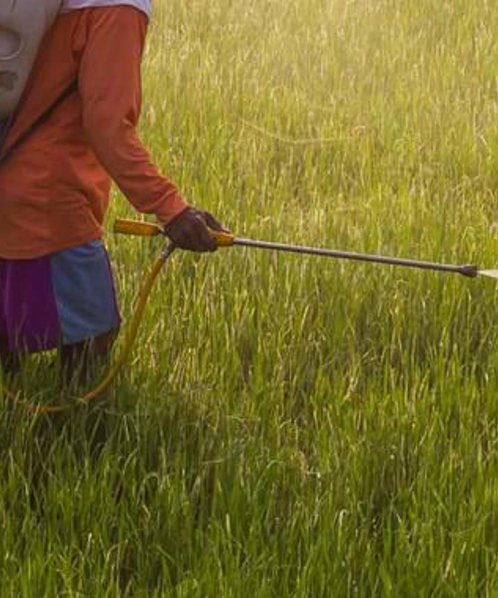 Pesticide Spraying