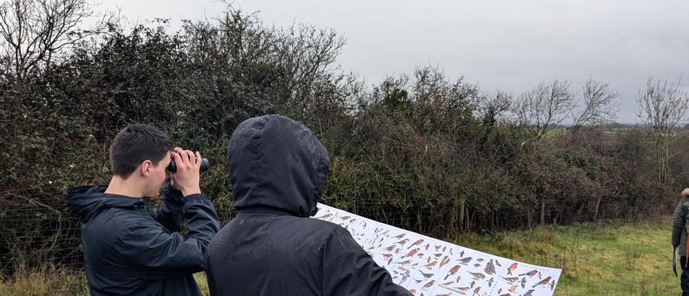 Big Farmland Bird Count