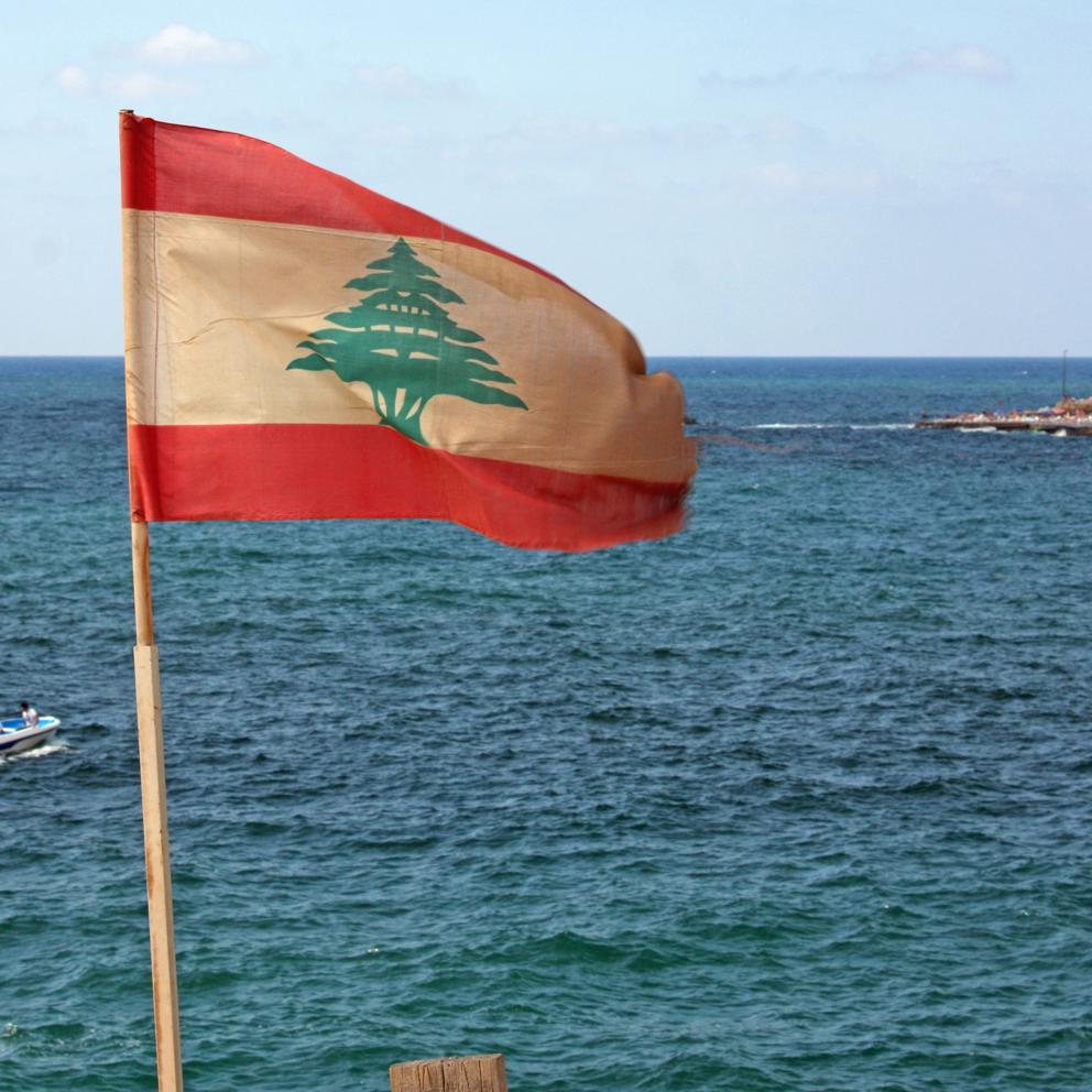 Wide Angle Shot Of A Flag With A Tree On It Behind 2025 02 09 21 07 43 Utc