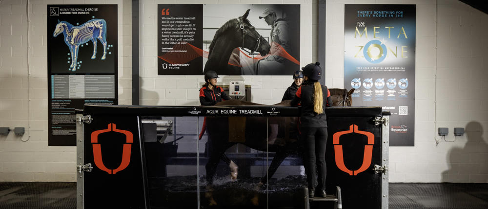 Equine Therapy Water Treadmill