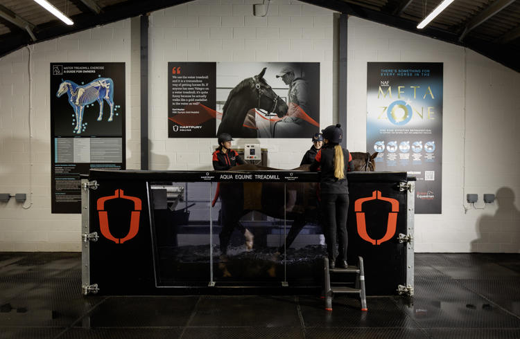 Equine Therapy Water Treadmill