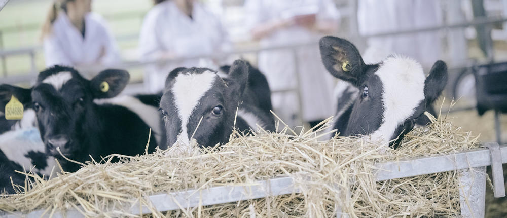 Agri Tech Event3