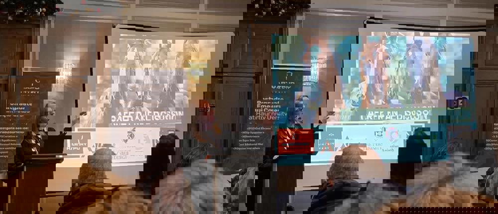 Bsas Career Panel Presentation