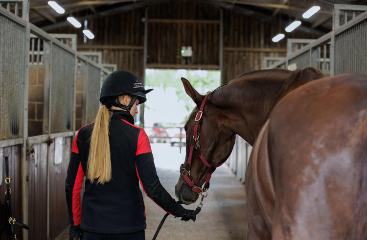 Equine Therapy