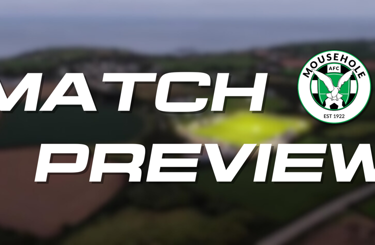 Mousehole Preview